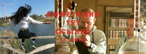 ПСИЛОЦИБИНОВЫЕ ГРИБЫ Алзамай