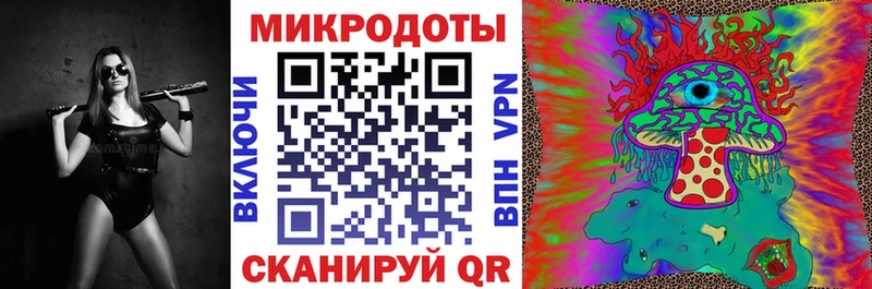 где найти   Углегорск  Псилоцибиновые грибы Psilocybine cubensis 